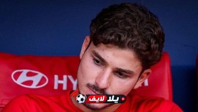 حسم مأوى العنكبوت.. أتلتيكو مدريد يغلق باب ألفاريز